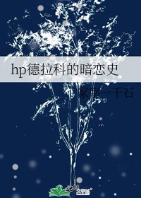 hp德拉科的暗恋史