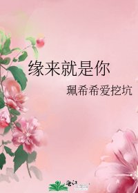 缘来就是你